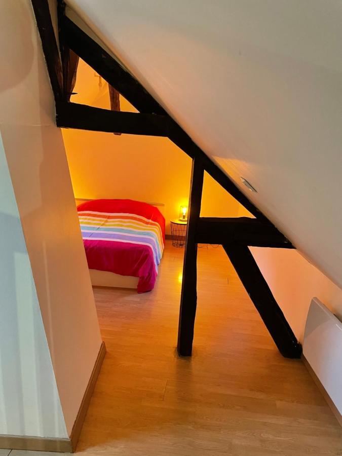 Appartement Complet Hyper Centre Auxerre Luaran gambar
