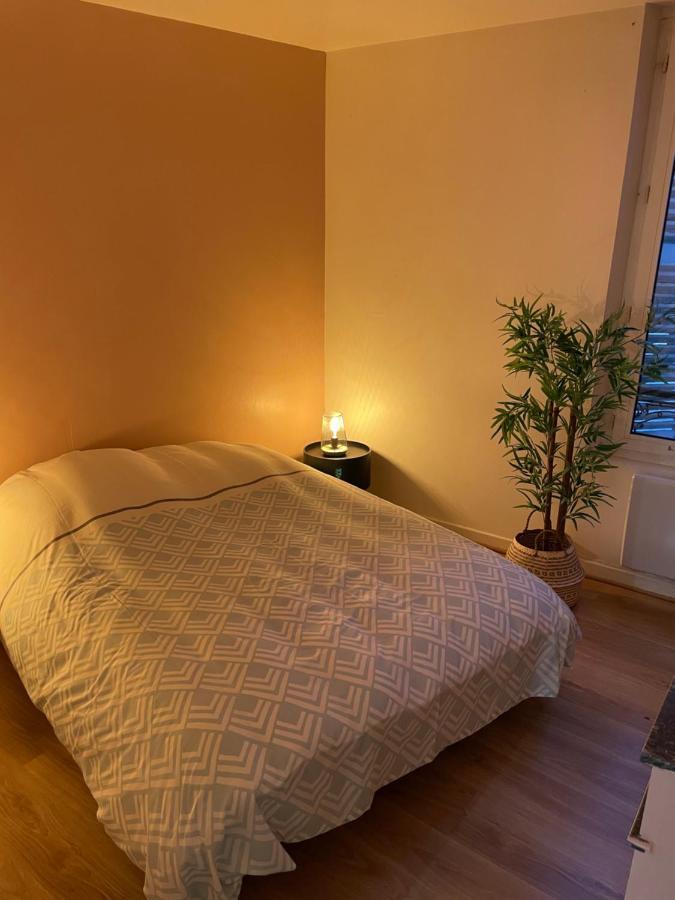 Appartement Complet Hyper Centre Auxerre Luaran gambar